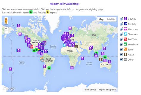 Seen A Jellyfish? Report It Here - jellywatch.org