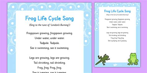 Frog Life Cycle Song - tadpole, frogspawn, life cycle, eyfs