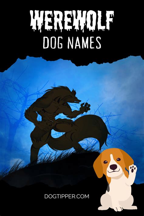 113 Werewolf Names for Dogs Sure to Make You Howl