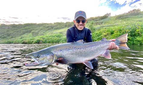 Salmon fishing in Iceland in 2023