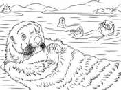 Otters coloring pages | Free Coloring Pages