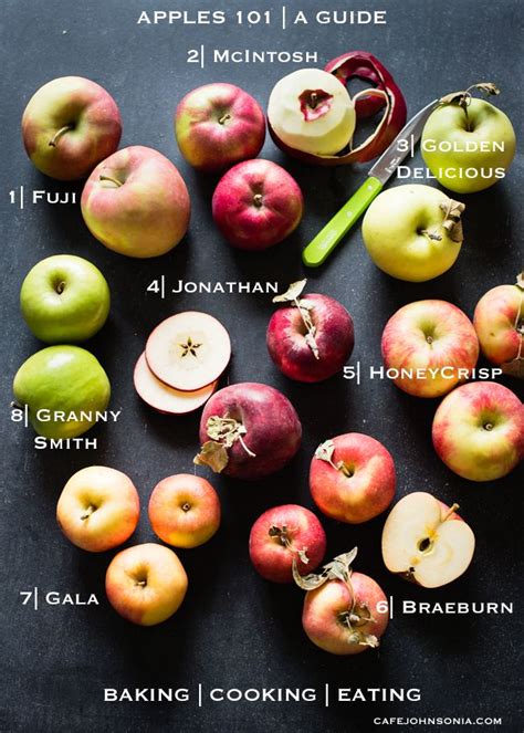 Fall Apple Variety Guide | Cafe Johnsonia | Apple varieties, Easy green smoothie, Fall apples