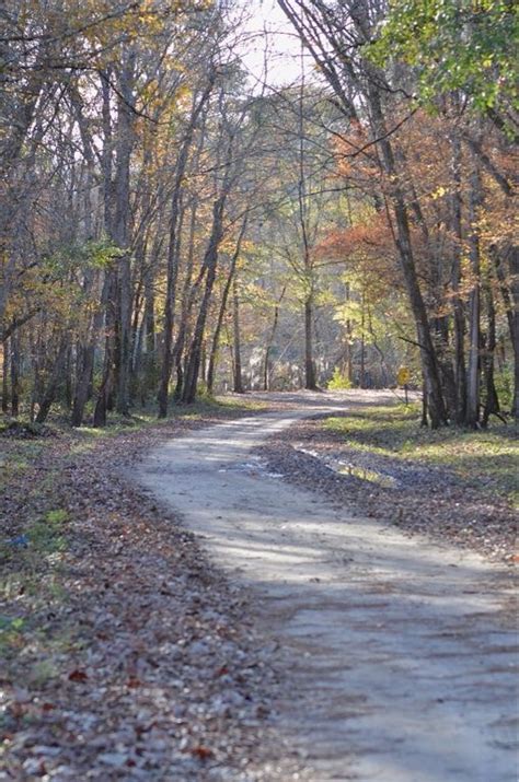 Old Dirt Road in Country | Old winding country dirt road | Country ...