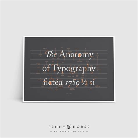 The Anatomy of Typography Poster, Font Design, Typography Terms, Type ...