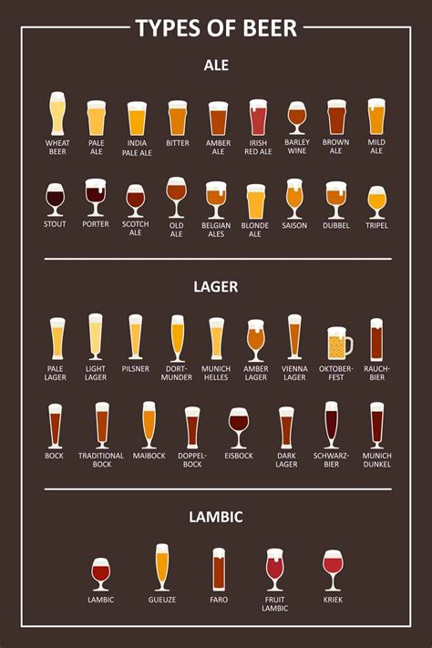 24 Different Types of Beer Glasses (Detailed Chart and Descriptions ...