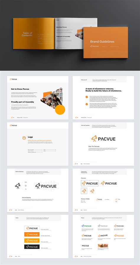 Pacvue Brand Guidelines on Behance