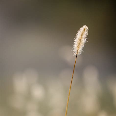 Minimalist Photography ~ 4 Tips To Keep It Simple With A Maximum Impact