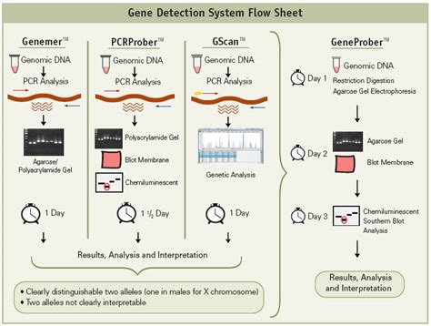 Gene Detection Systems Introduction - Gene Link