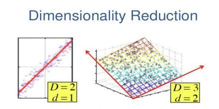 Dimensionality Reduction - Assignment Point