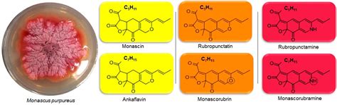 Processes | Free Full-Text | Mannitol-Based Media and Static pH Are ...