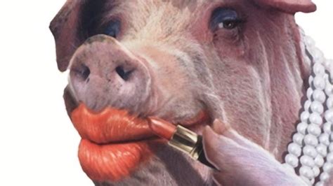 lipstick_on_a_pig | Michaelpedia Galactica