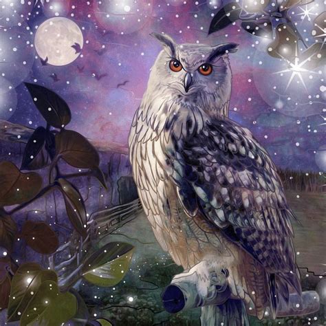 Night owl | Owl, Owls drawing, Owl art