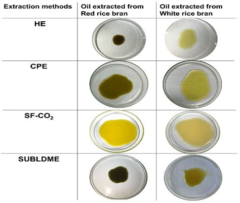 Molecules | Free Full-Text | Bioactives from Crude Rice Bran Oils Extracted Using Green Technology