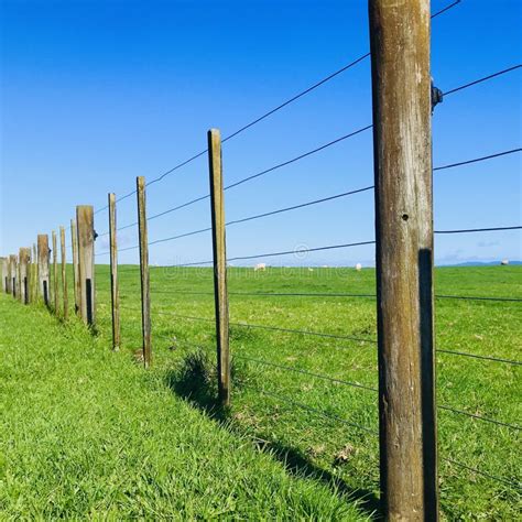 Wooden Pole and Wire Fence at Farm. Stock Photo - Image of background ...