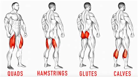 Leg Workouts: 7 Best Leg Excercises for Building Mass