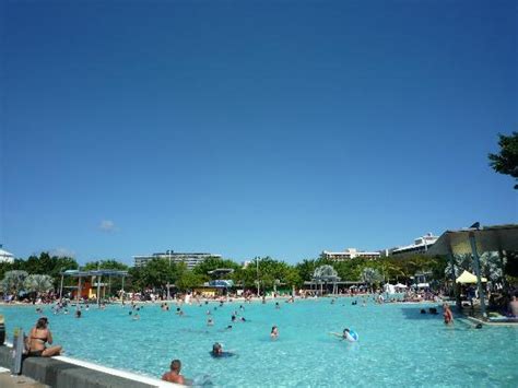 Fish @ Pool - Picture of Cairns Esplanade Swimming Lagoon, Cairns ...