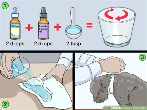 How to Prevent Flea Bites (with Pictures) - wikiHow