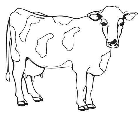 Realistic Cow coloring pages - Coloring pages 🎨