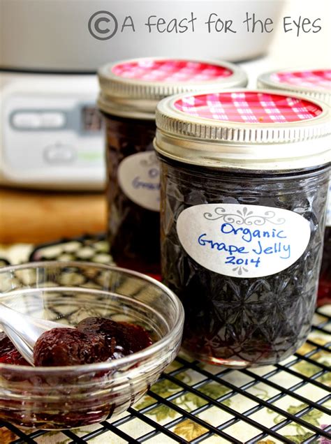 Easiest Homemade Concord Grape Jelly- and Basic Canning tips - A Feast ...