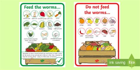 What to Feed Worms in a Wormery Display Posters