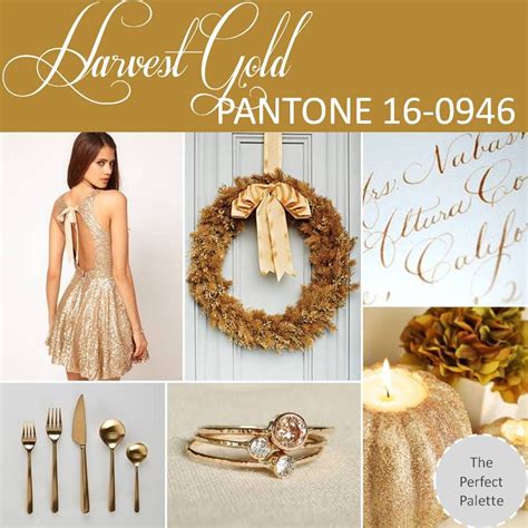 {pantone palette}: harvest gold 16-0946 | The Perfect Palette