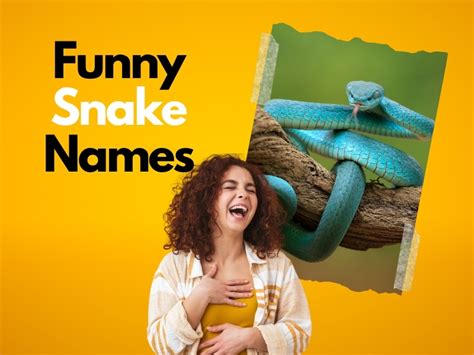 250+ Funny Snake Names: A Guide to Laughter and Pets