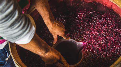 Winemaking, Explained: How Each Step in the Process Affects a Wine ...