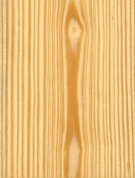 Sumatran Pine | The Wood Database - Lumber Identification (Softwood)