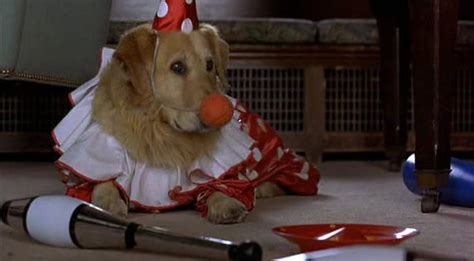 Air Bud (1997) - Movie Screencaps.com | Air bud, Dog movies, Air