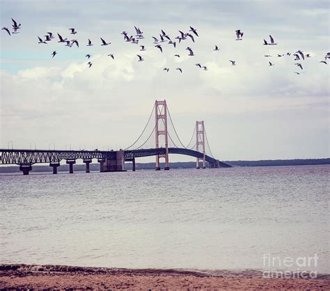 Mackinac bridge at sunset Photograph by Svetlana Foote