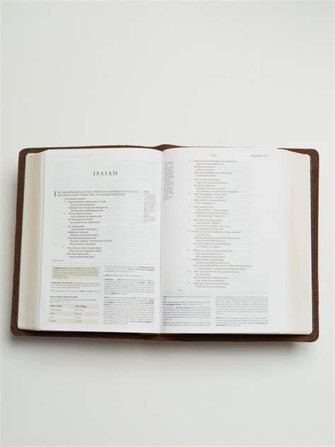 Scriptura Bibles — ESV Large Print Thinline Bible