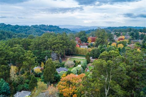 Landscape of Dandenong Ranges in Autumn. Stock Image - Image of autumn ...