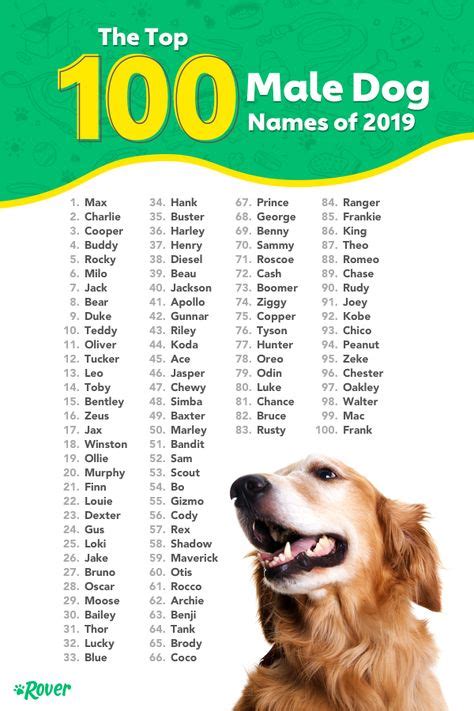The Top 100 Most Popular Dog Names in 2019 by Breed, City, and Trends | Dog names, Top dog names ...