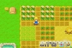 Harvest moon friends of mineral town horse - oclasopa