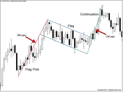 Forex Chart Patterns You Need to Know | Daily Price Action