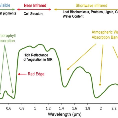 The spectral reflectance curve of vegetation. The major absorption and... | Download Scientific ...