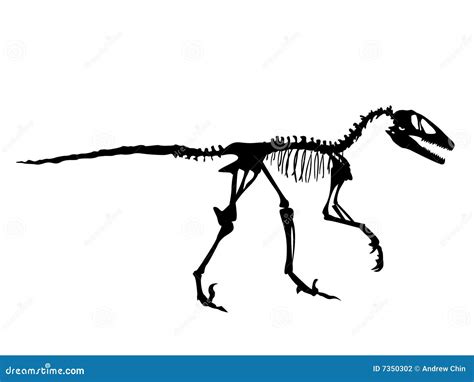 Deinonychus Fossil Vector Illustration | CartoonDealer.com #7350302