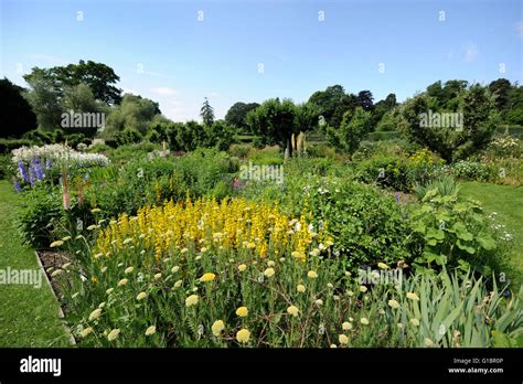 Herbaceous borders hi-res stock photography and images - Alamy