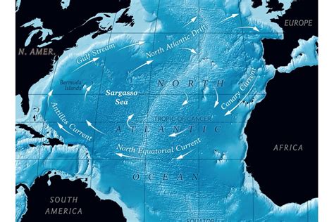 New International Pact Aims to Protect the Sargasso Sea—Why It's Worth ...