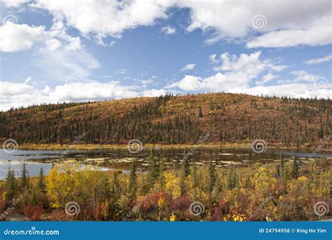 Alaska Range in Denali stock photo. Image of mountain - 24794958