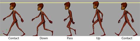 Ways To Make Walk Cycle In Animation A Brief Discussion