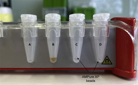 Exemplary pictures of PCR purification steps with AMPure XP beads (A-C)... | Download Scientific ...