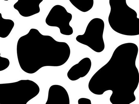 cow print clipart 20 free Cliparts | Download images on Clipground 2024