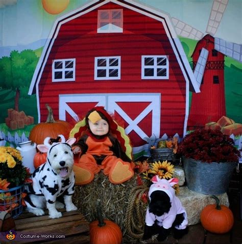 Barnyard Costume | DIY Costumes Under $45