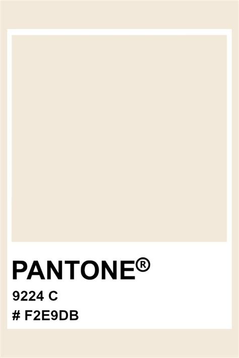 PANTONE 9224 C #pantone #color #pastel #hex | Diseño de pegatina ...