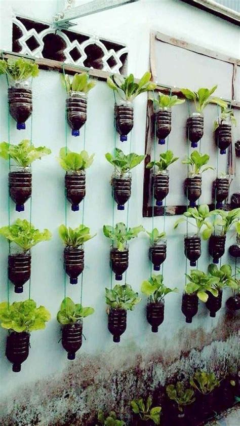 Ideas to Help Build a Spacing Saving Vertical Gardens - Finest DIY | Sarkan bitkiler, Saksı ...