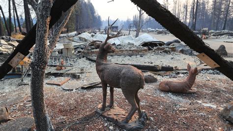 California Wildfires Updates: 42 Dead in Camp Fire and Toll Expected to Rise - The New York Times