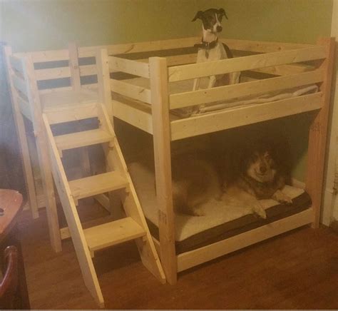 Ana White | Dog Bunk Bed - DIY Projects