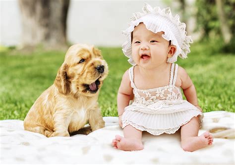 Puppies and Babies: 7 Ways In Which They're the Same | Mad Paws Blog