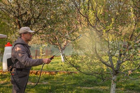 Premium Photo | Man spraying insecticide on plants